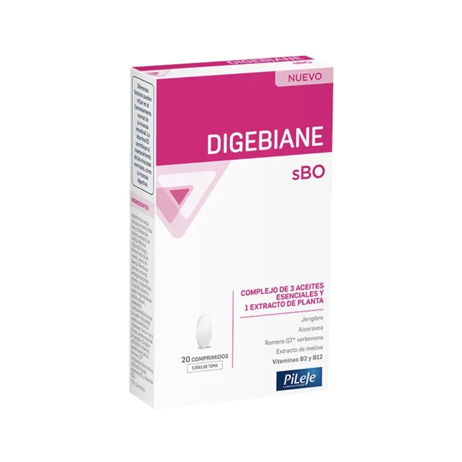 Pileje Digebiane sBO