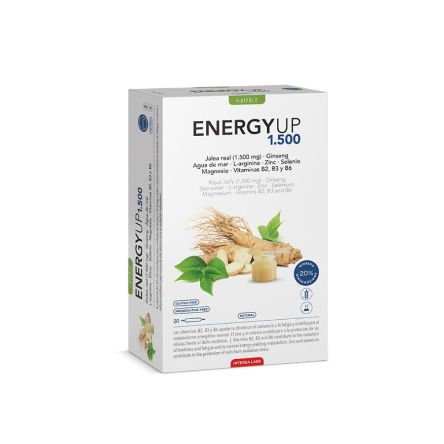 Intersa Energy Up 1500