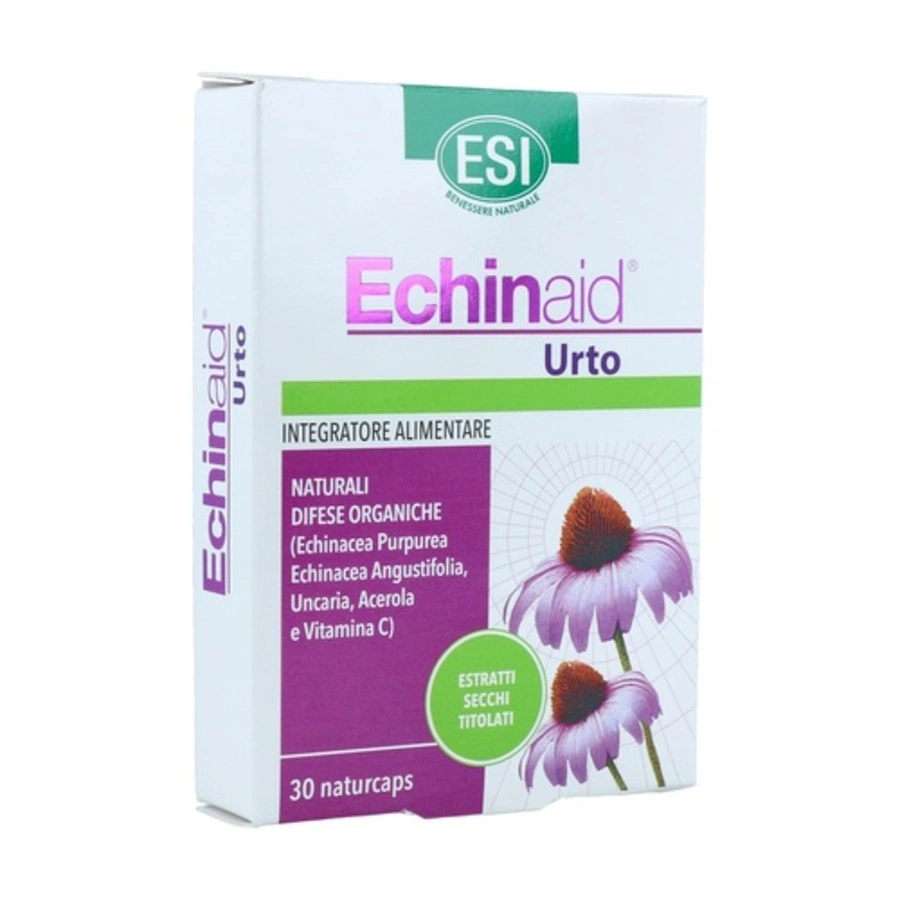 Esi Echinaid Urto